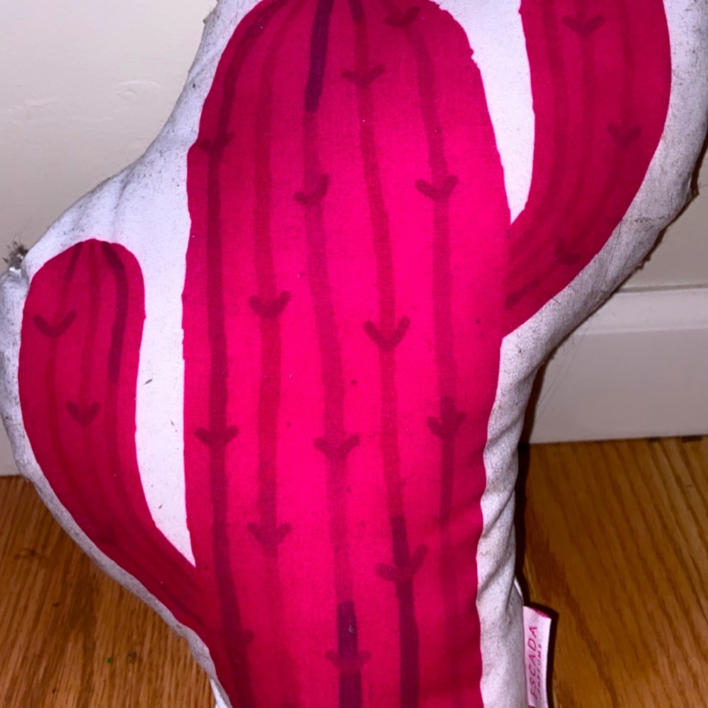 Cactus pillow